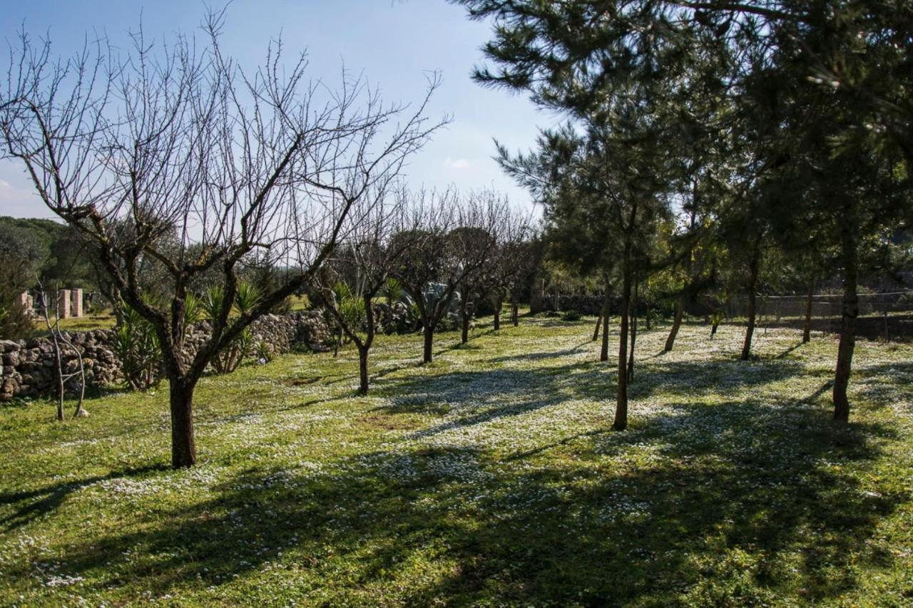 Casale Sombrino ξενώνας Supersano Εξωτερικό φωτογραφία