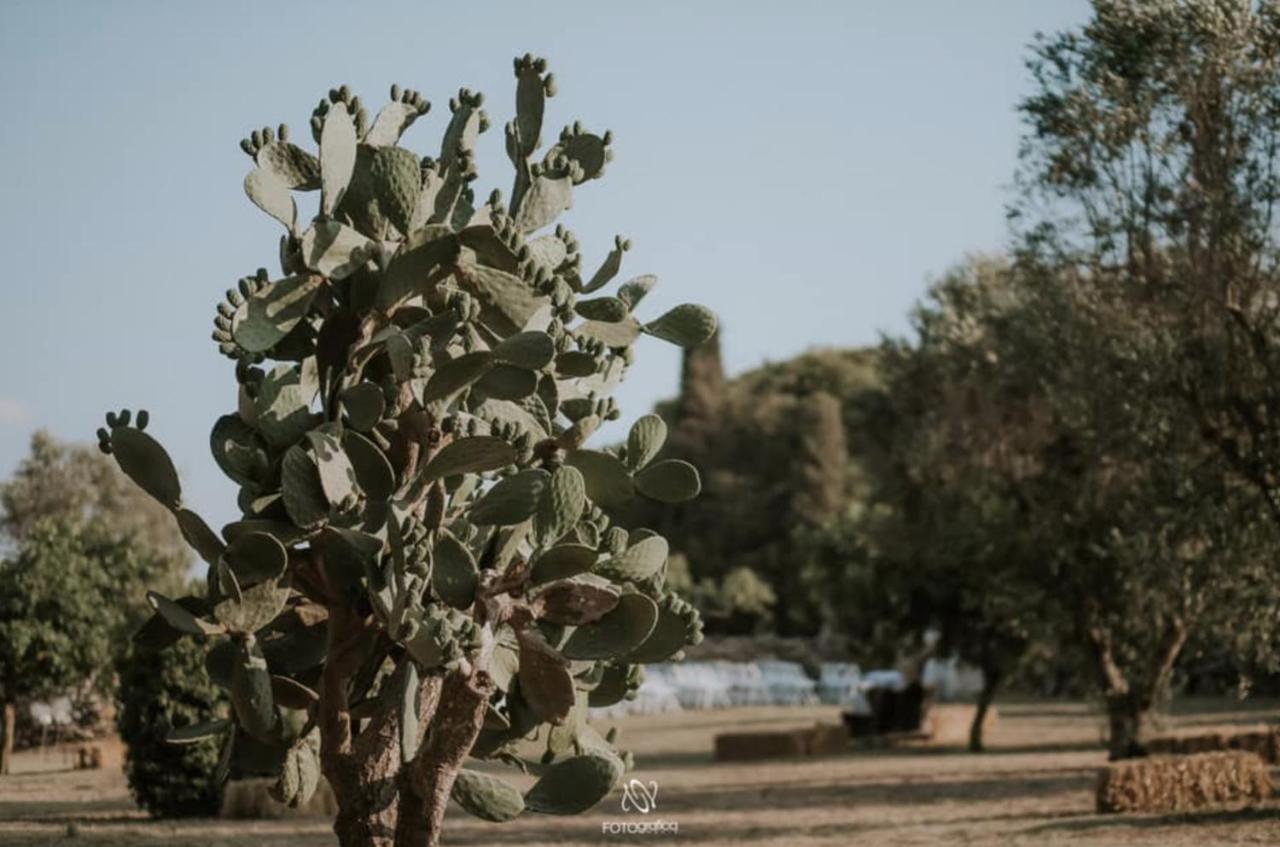 Casale Sombrino ξενώνας Supersano Εξωτερικό φωτογραφία