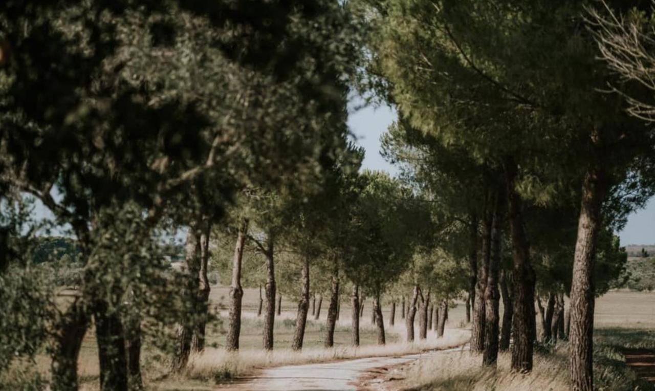 Casale Sombrino ξενώνας Supersano Εξωτερικό φωτογραφία